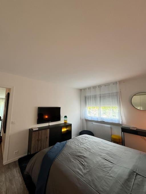 Magnifique Appartement Saint-Maur-des-Fossés