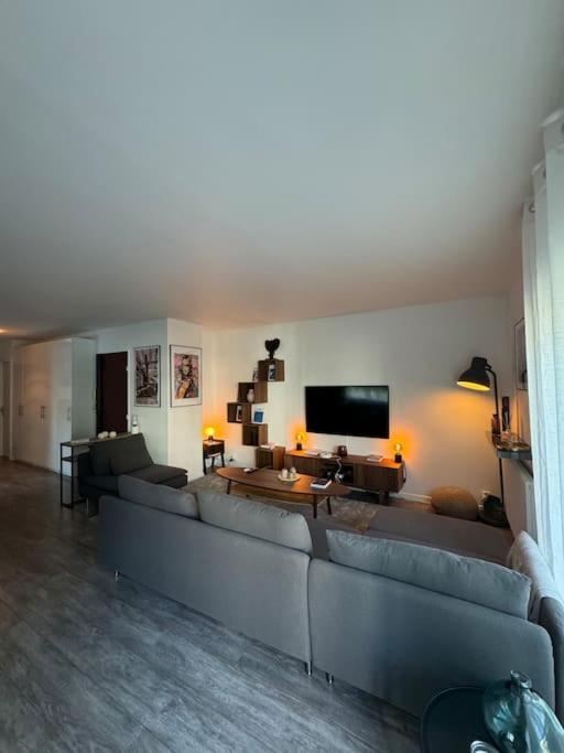 Appartement Magnifique