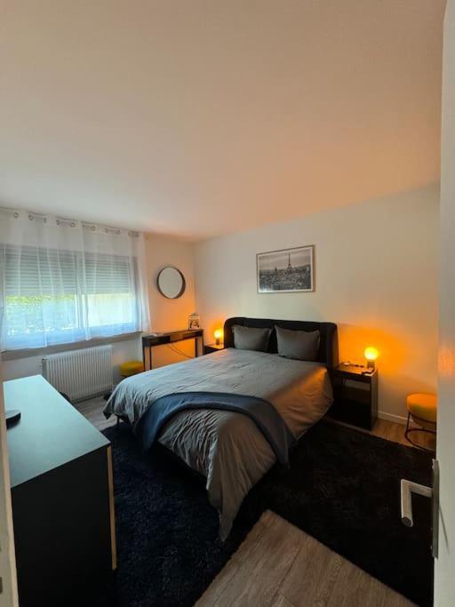 Magnifique Appartement